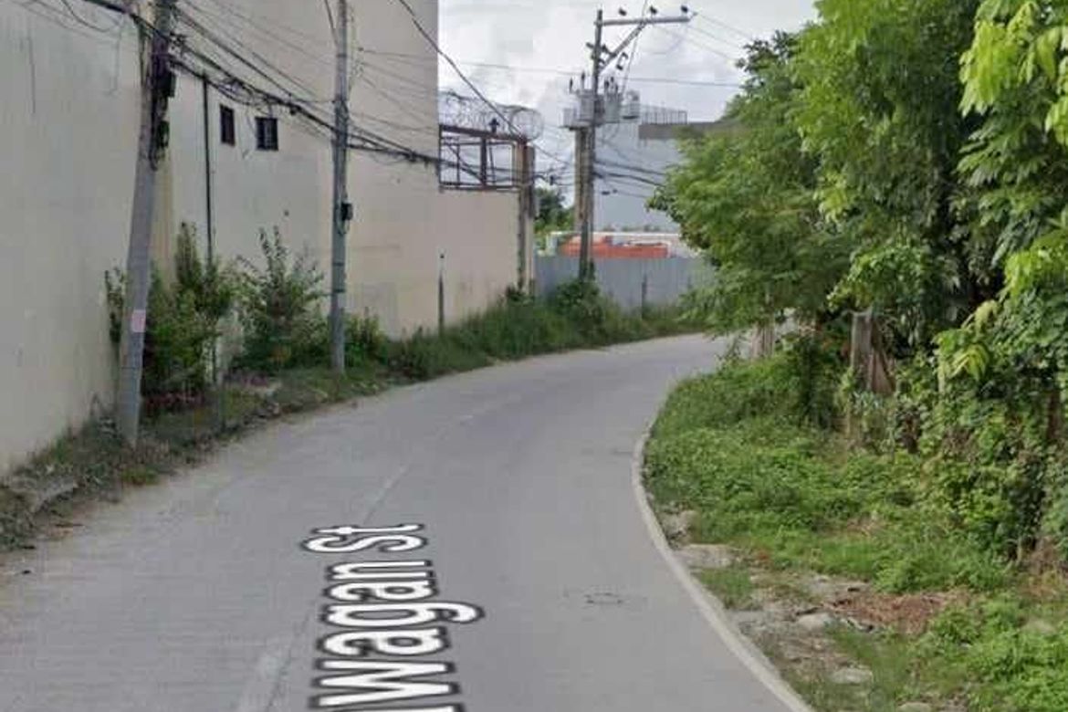 Land for Sale in Tayud, Consolacion, Cebu – photo 6