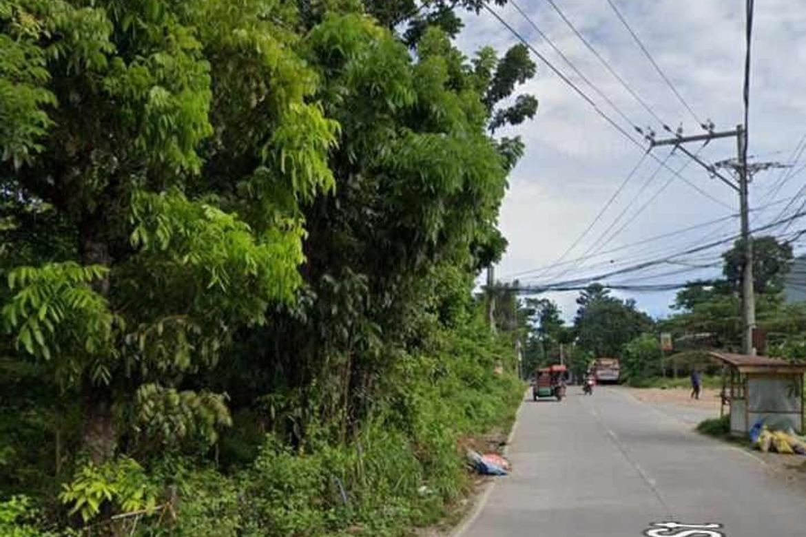 Land for Sale in Tayud, Consolacion, Cebu – photo 7
