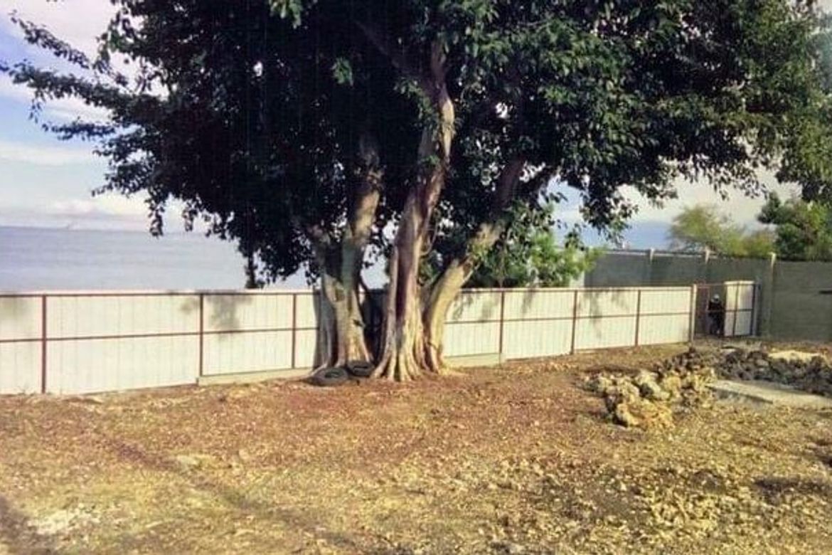 Land for Sale in Tayud, Liloan, Cebu – photo 2