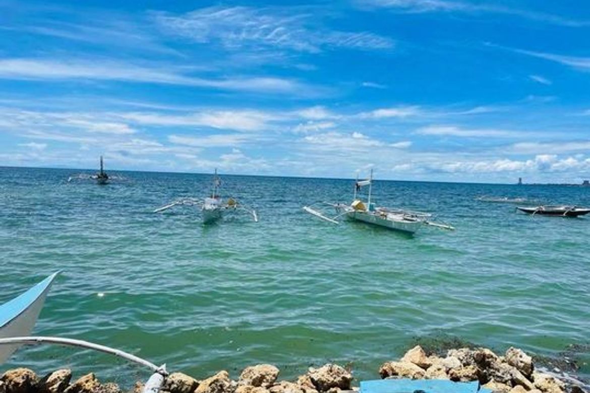 Land for Sale in Tayud, Liloan, Cebu – photo 7