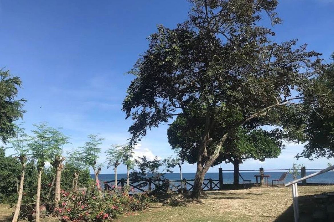 Land for Sale in Tayud, Liloan, Cebu – photo 2