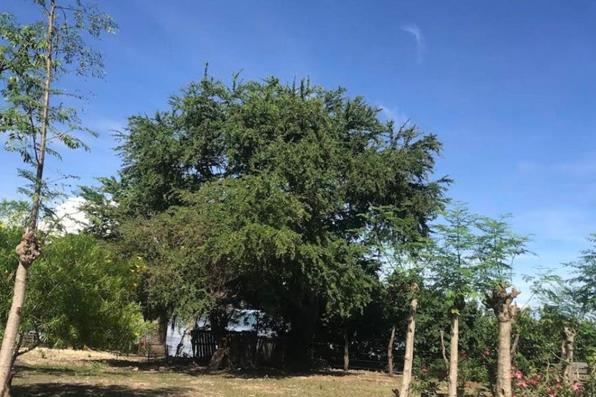 Land for Sale in Tayud, Liloan, Cebu – photo 4