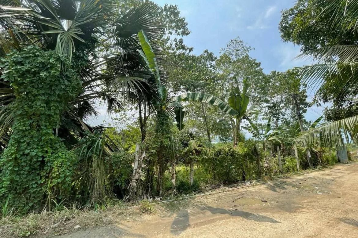 Land for Sale in Tayud, Liloan, Cebu – photo 3