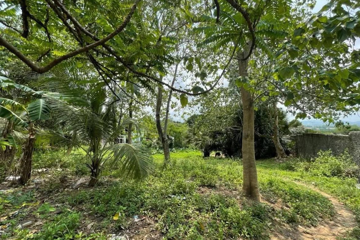Land for Sale in Tayud, Liloan, Cebu – photo 4