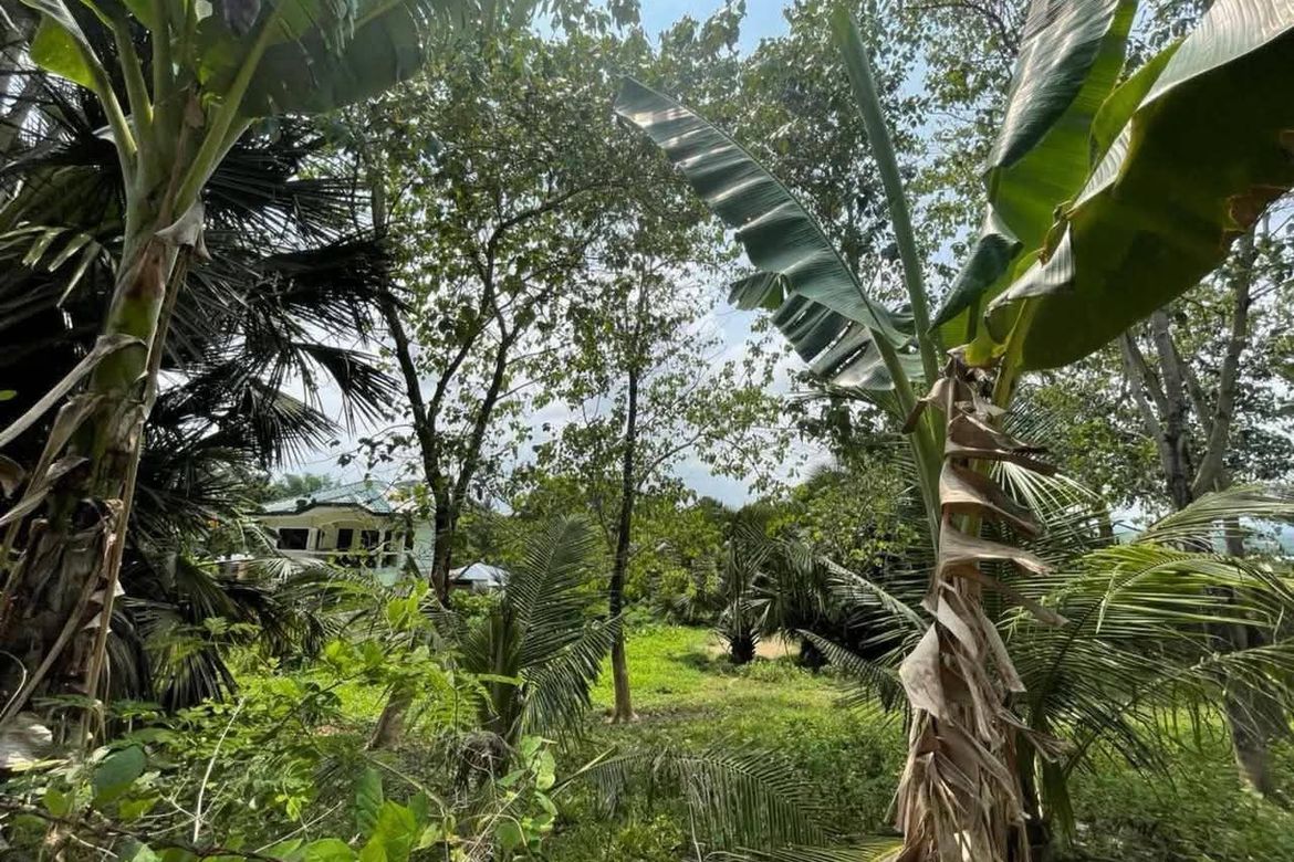 Land for Sale in Tayud, Liloan, Cebu – photo 5