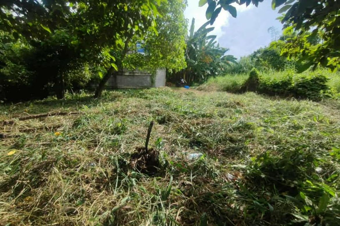 Land for Sale in Tayud, Liloan, Cebu – photo 2
