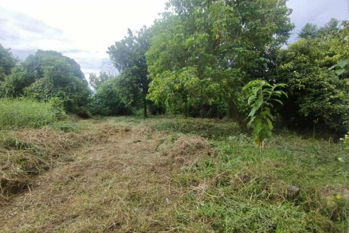 Land for Sale in Tayud, Liloan, Cebu – photo 3