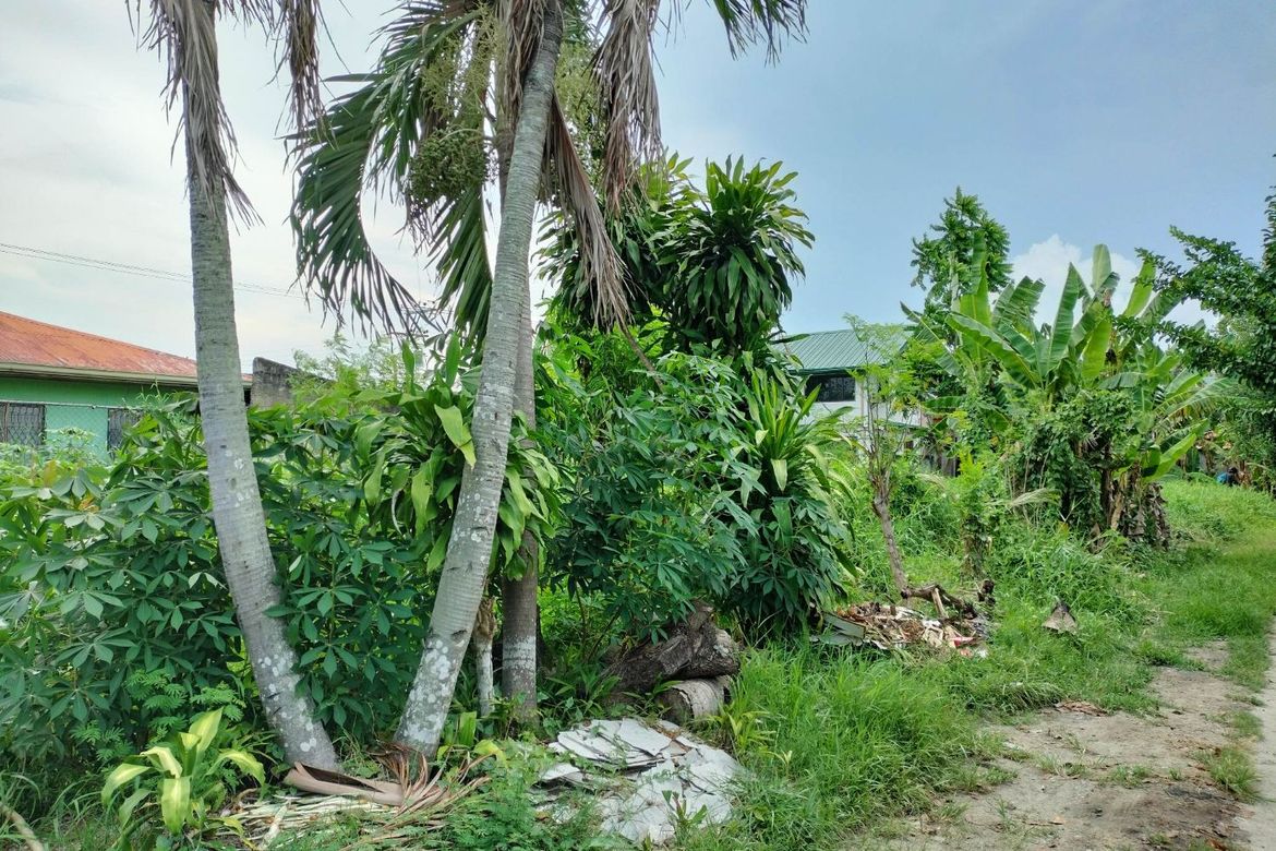 Land for Sale in Tayud, Liloan, Cebu – photo 3