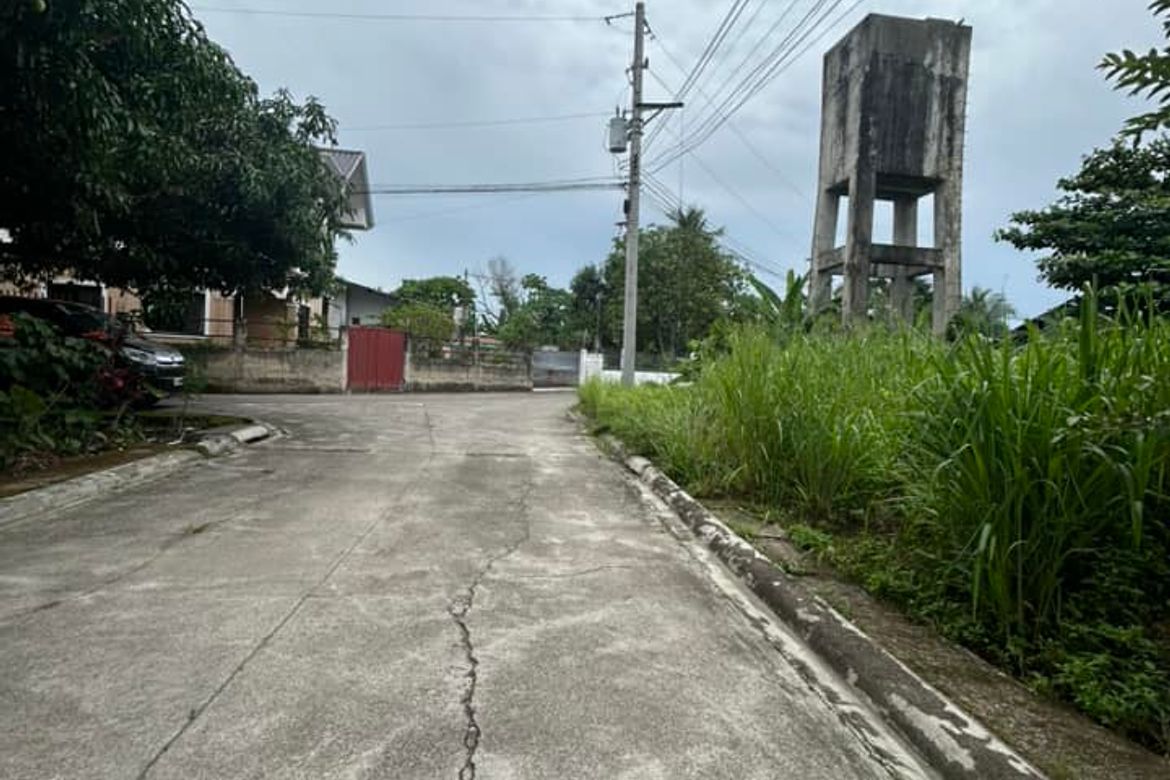 Land for Sale in Tayud, Liloan, Cebu – photo 5