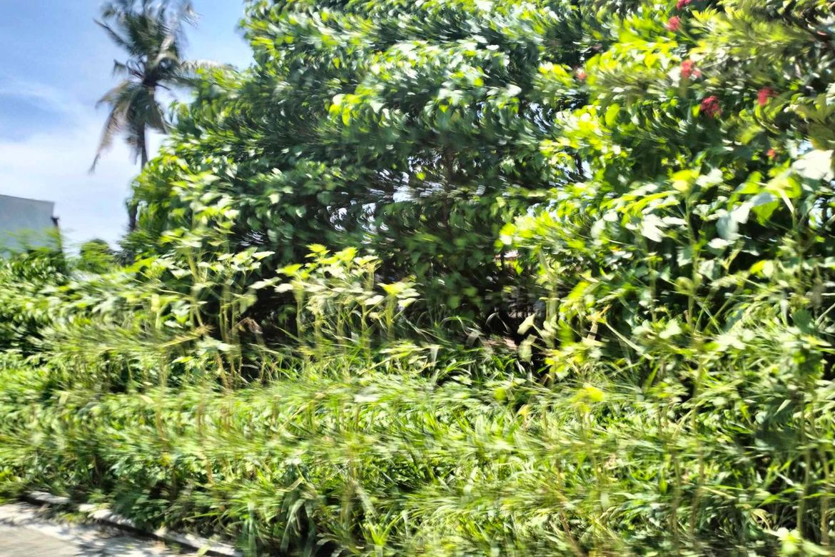 Land for Sale in Tayud, Liloan, Cebu – photo 2