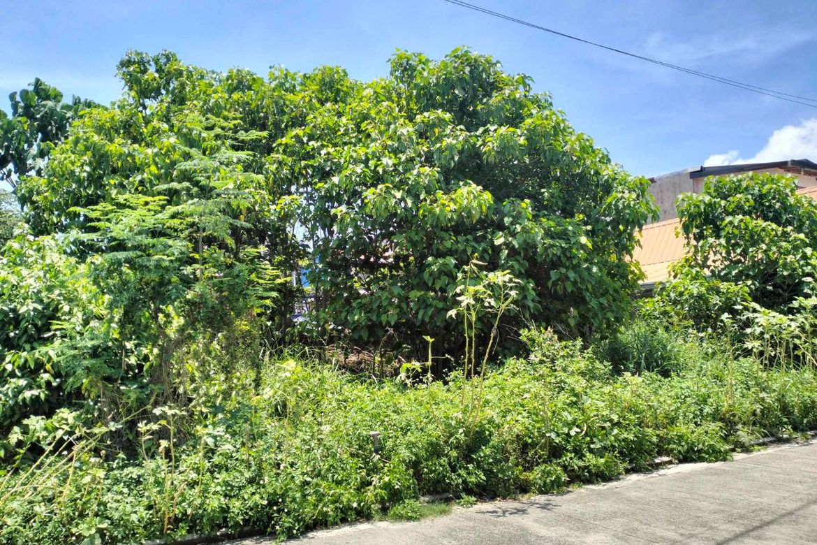Land for Sale in Tayud, Liloan, Cebu – photo 5