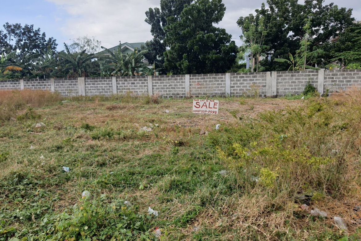 Land for Sale in Tejeros Convention, Rosario, Cavite – photo 2