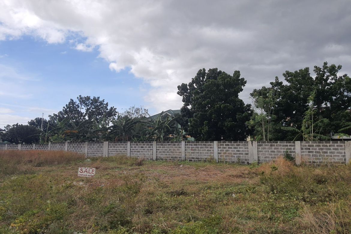 Land for Sale in Tejeros Convention, Rosario, Cavite – photo 3