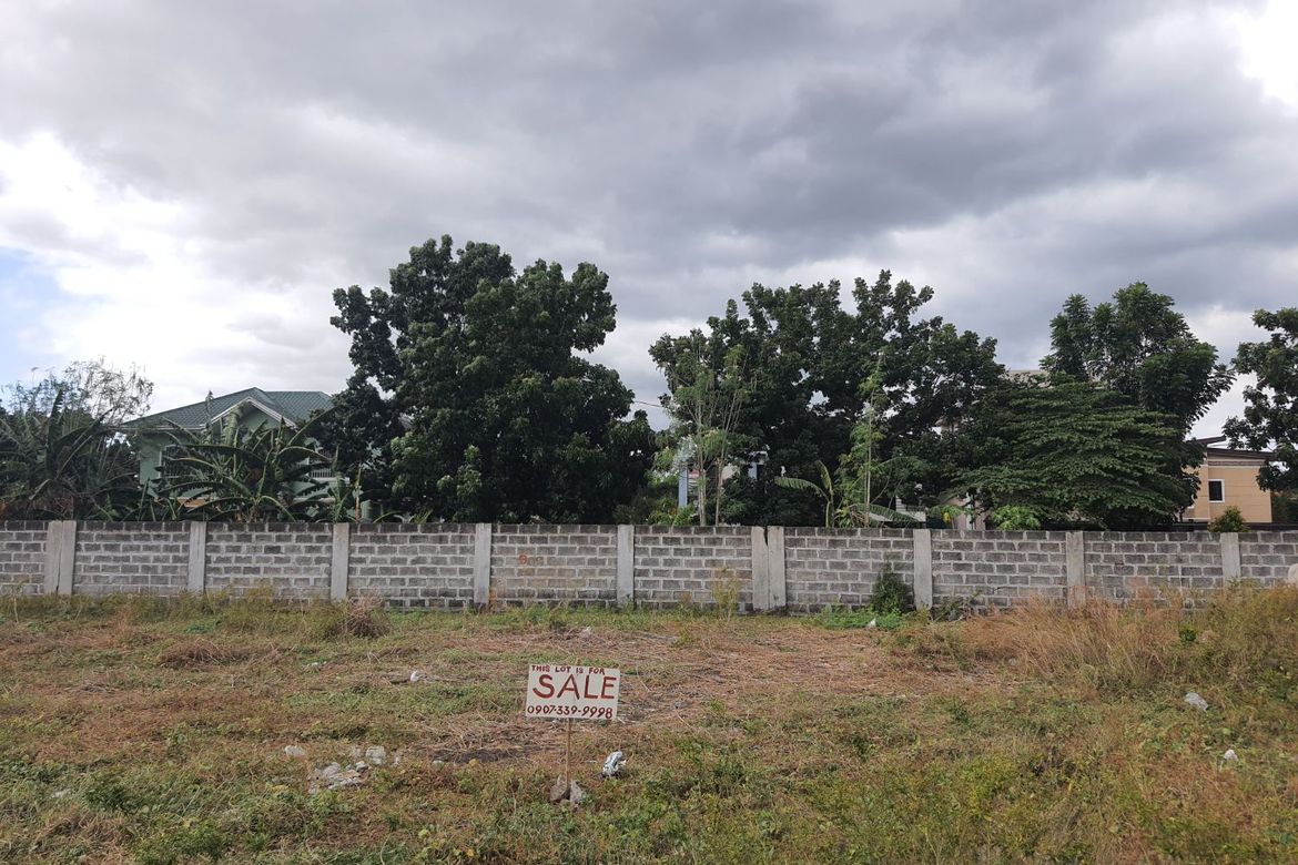 Land for Sale in Tejeros Convention, Rosario, Cavite – photo 4