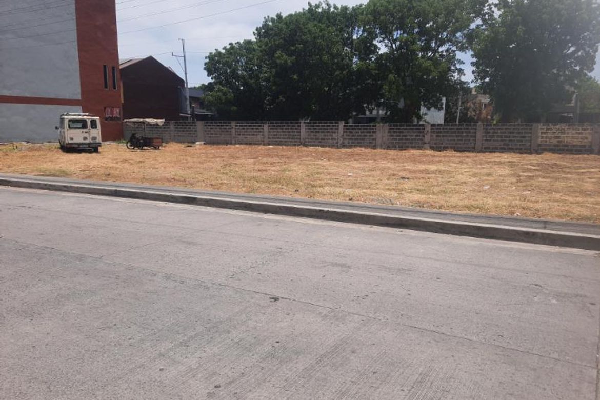 Land for Sale in Tejeros Convention, Rosario, Cavite – photo 4