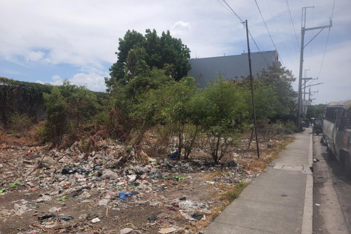Land for Sale in Tejeros Convention, Rosario, Cavite – photo 3