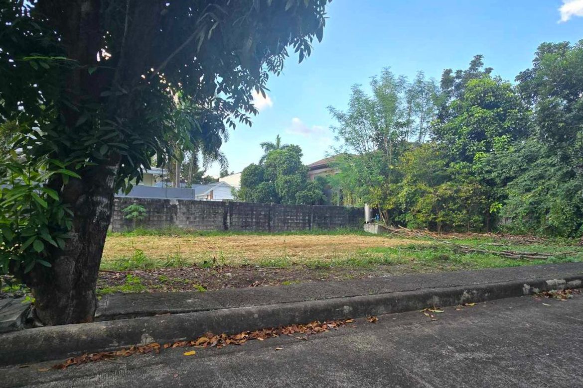 Land for Sale in Telabastagan, San Fernando, Pampanga