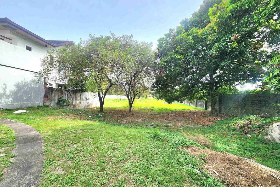 Land for Sale in Telabastagan, San Fernando, Pampanga
