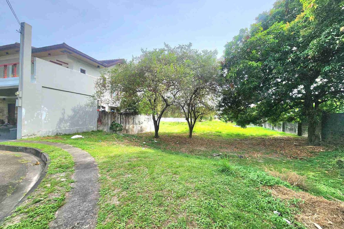 Land for Sale in Telabastagan, San Fernando, Pampanga – photo 5