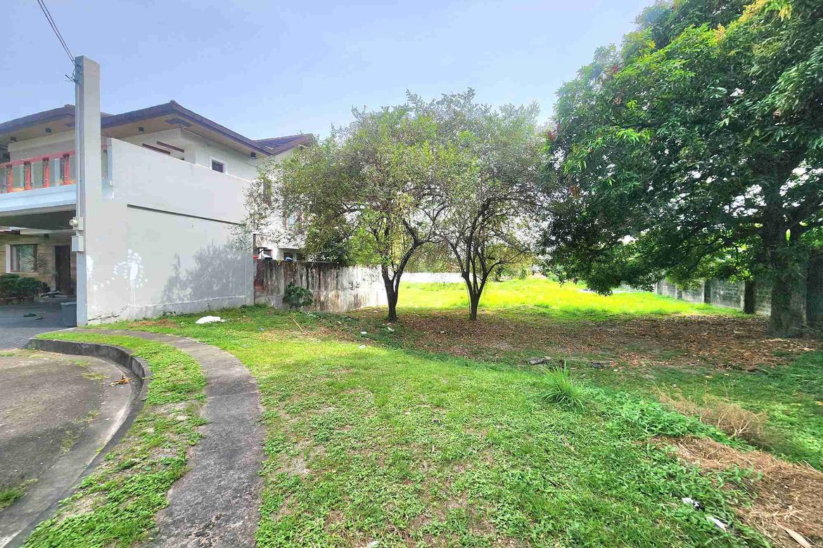 Land for Sale in Telabastagan, San Fernando, Pampanga – photo 7
