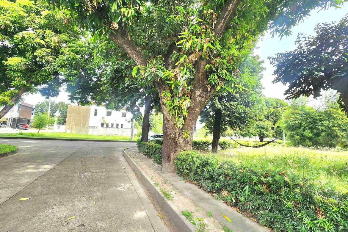Land for Sale in Telabastagan, San Fernando, Pampanga – photo 8