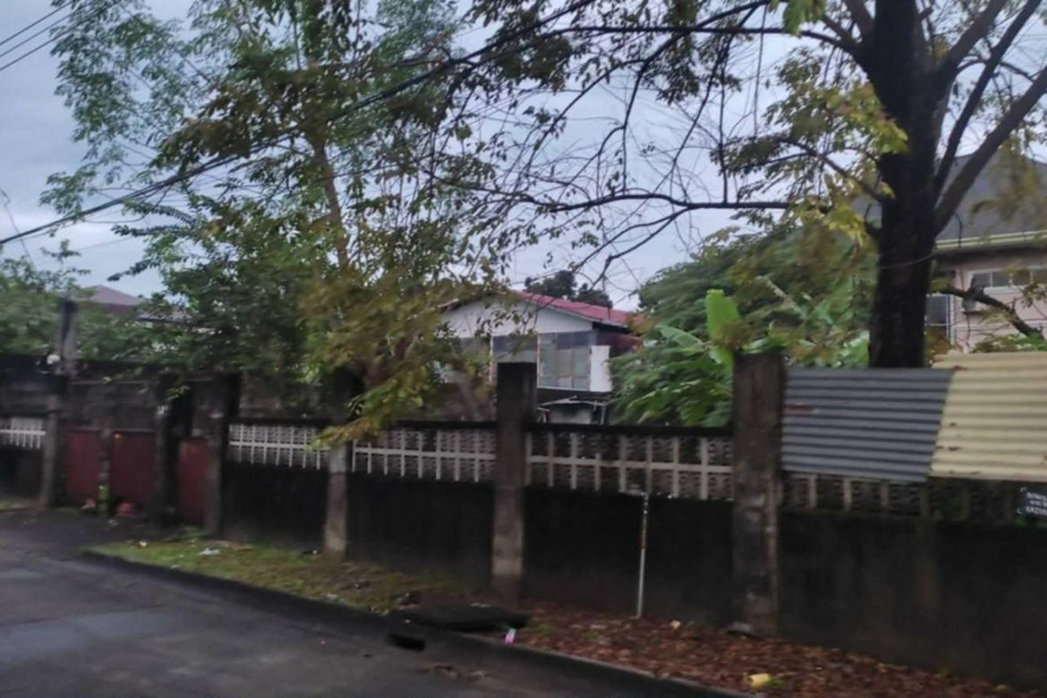 Land for Sale in Telabastagan, San Fernando, Pampanga – photo 5