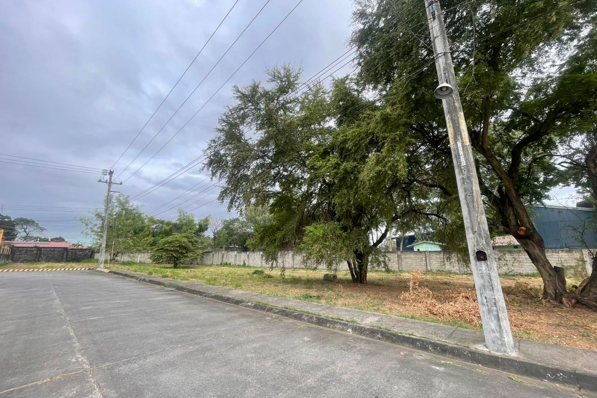 Land for Sale in Telabastagan, San Fernando, Pampanga – photo 3