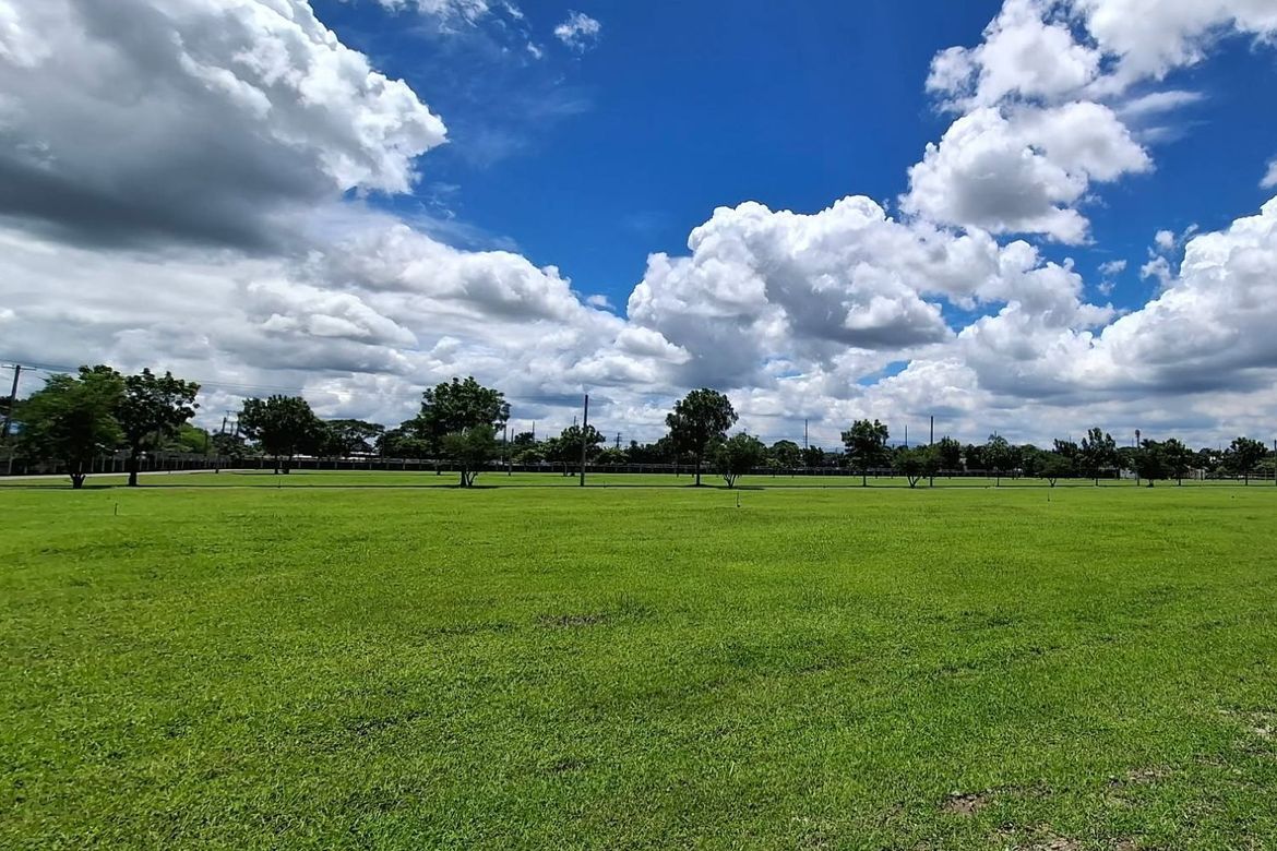 Land for Sale in Telabastagan, San Fernando, Pampanga – photo 3