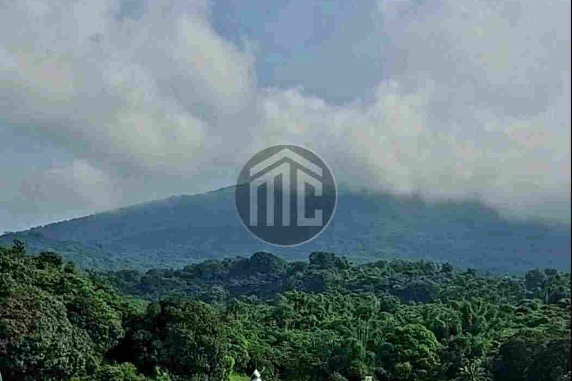 Land for Sale in Telapayong, Arayat, Pampanga – photo 6