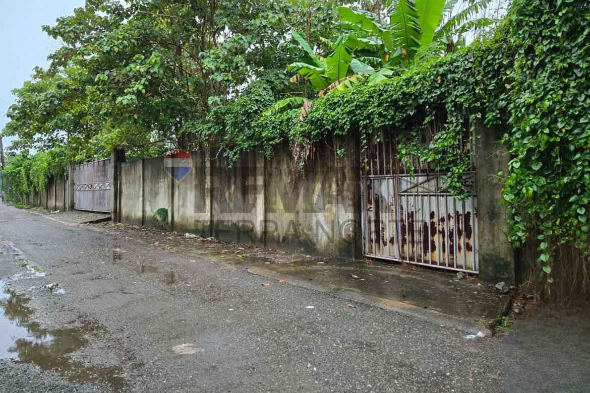 Land for Sale in Tempra-Guilig, San Fabian, Pangasinan – photo 2