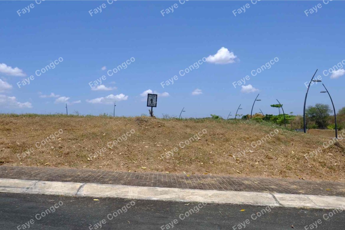 Land for Sale in The Courtyards by Ayala Land Premier, Anabu I-A, Imus, Cavite