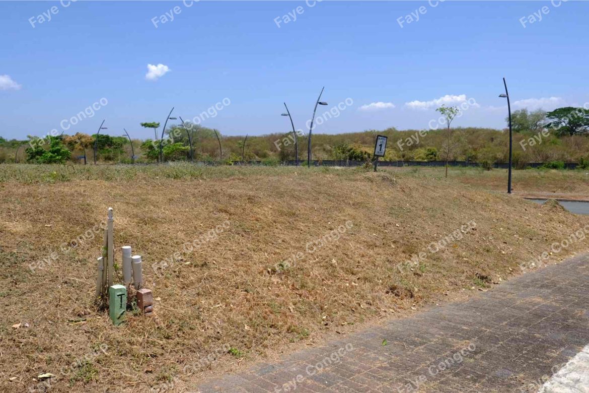 Land for Sale in The Courtyards by Ayala Land Premier, Anabu I-A, Imus, Cavite – photo 6