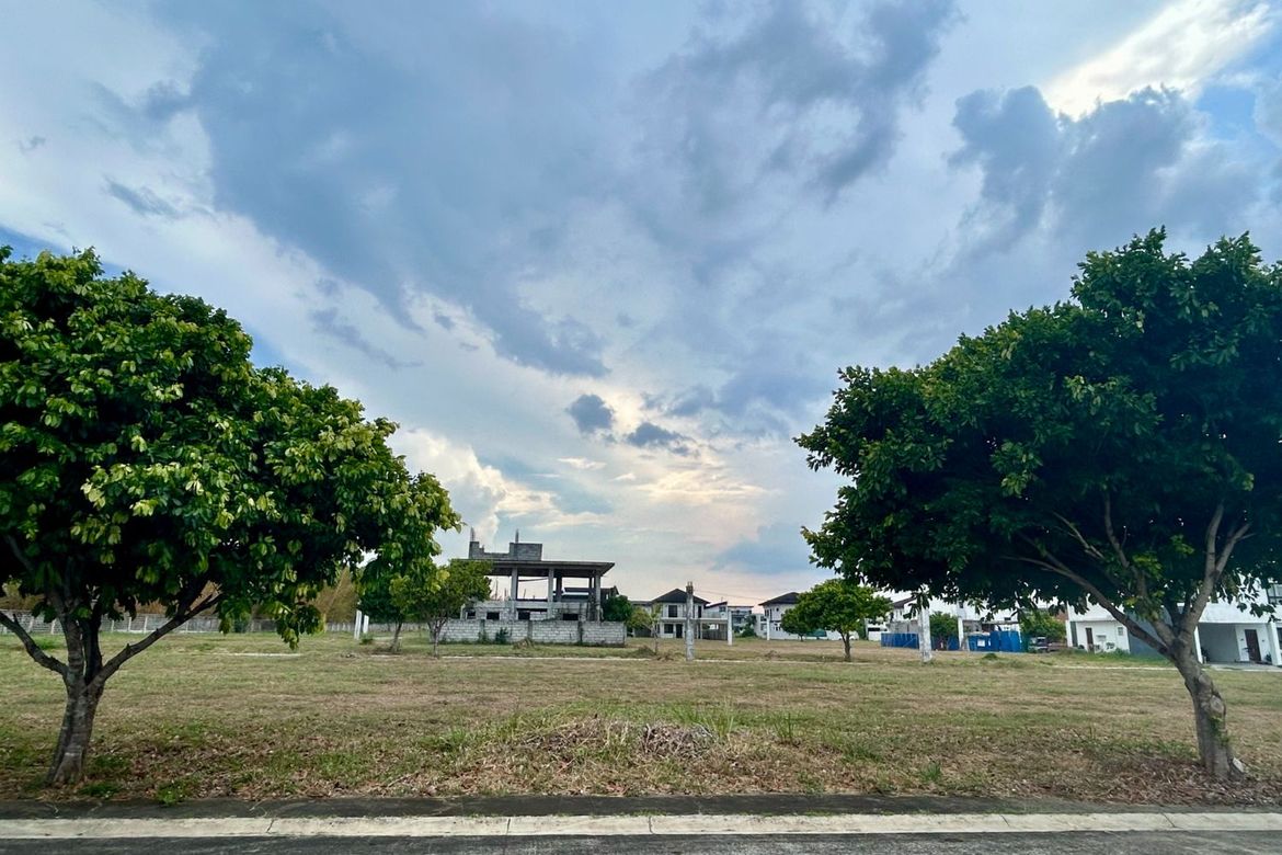 Land for Sale in The Sonoma, Don Jose, Santa Rosa, Laguna – photo 8