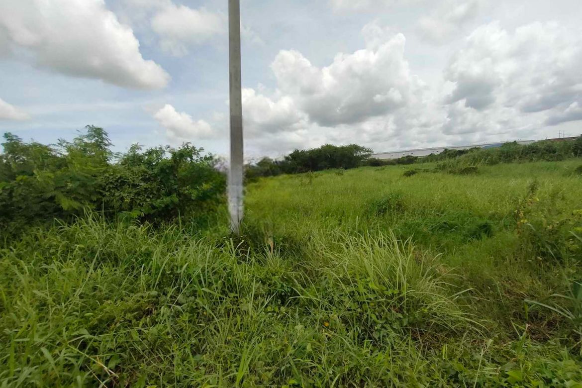 Land for Sale in Tiaong, Guiguinto, Bulacan – photo 2