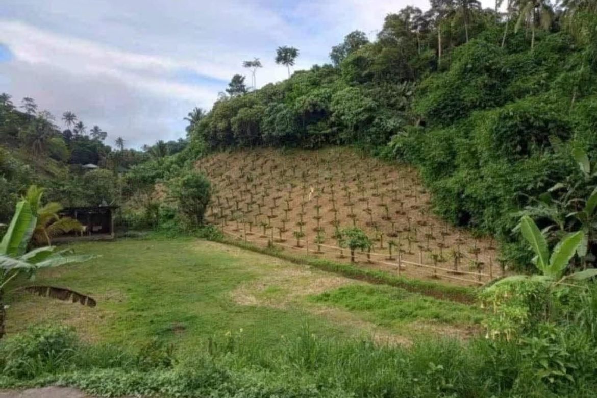 Land for Sale in Tiawe, Lucban, Quezon