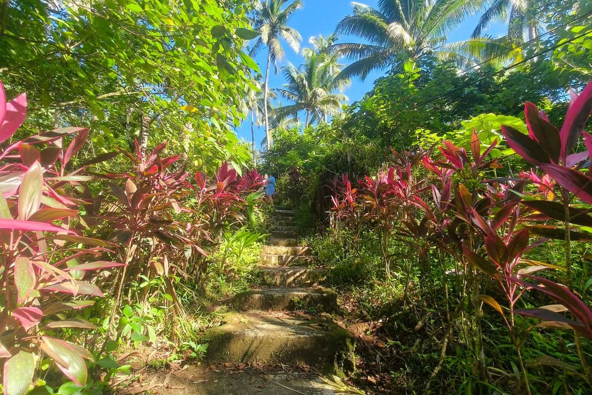 Land for Sale in Tiawe, Lucban, Quezon – photo 5