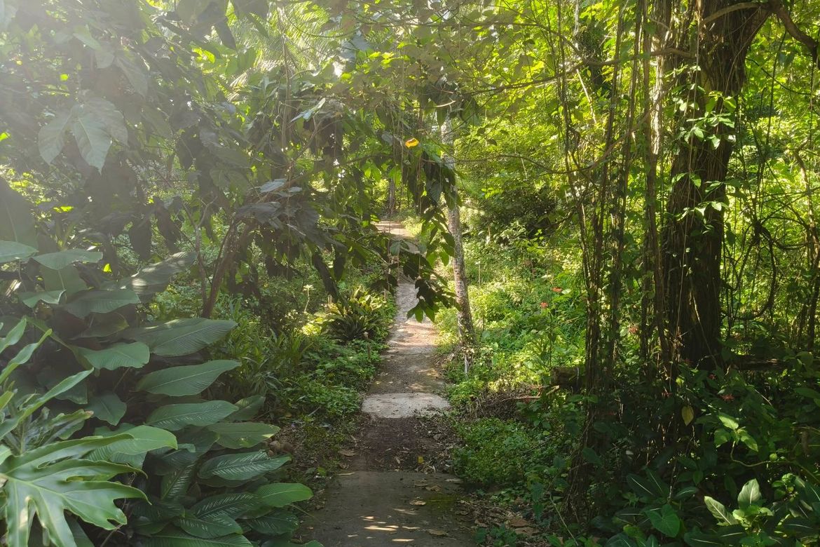 Land for Sale in Tiawe, Lucban, Quezon – photo 6