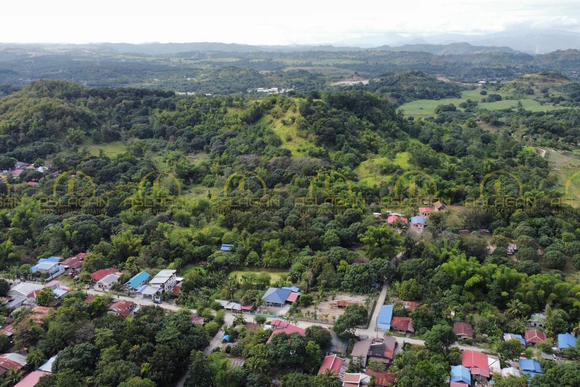 Land for Sale in Tibag, Tarlac, Tarlac – photo 2
