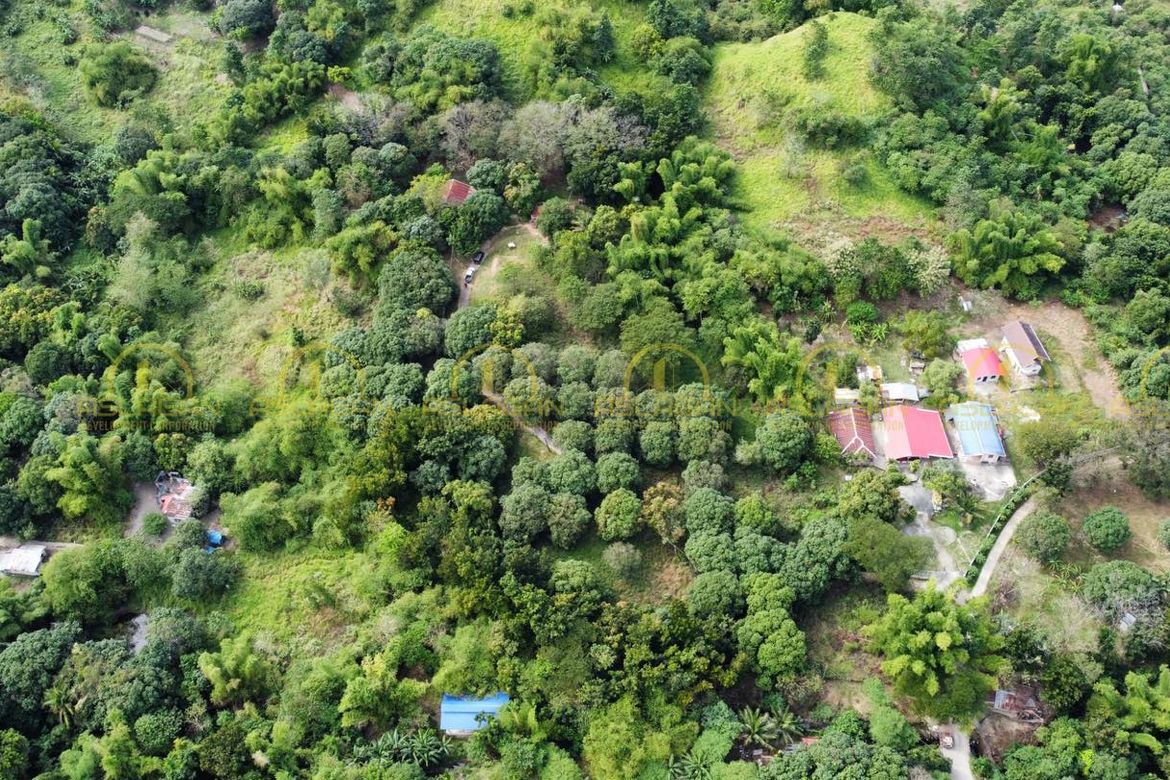 Land for Sale in Tibag, Tarlac, Tarlac – photo 3