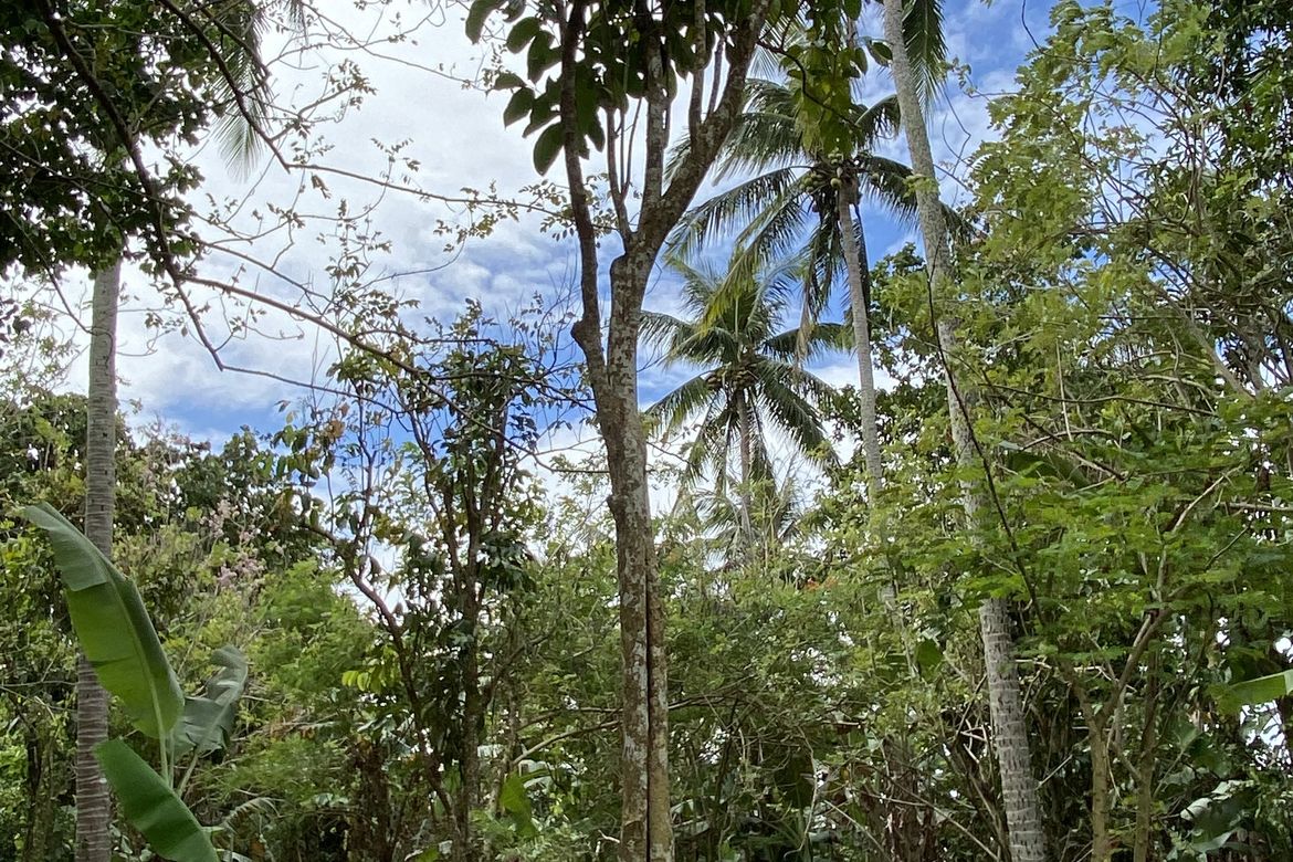 Land for Sale in Tibig, Lipa, Batangas – photo 4