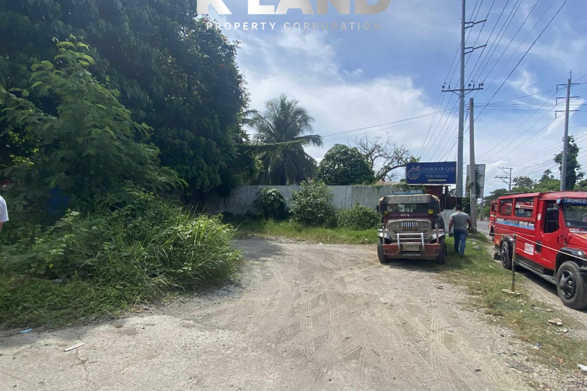 Land for Sale in Tibungco, Davao City, Davao del Sur – photo 3
