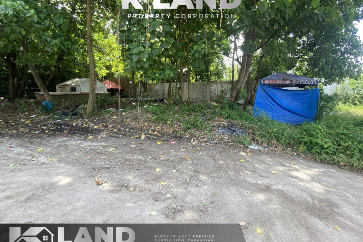 Land for Sale in Tibungco, Davao City, Davao del Sur – photo 5