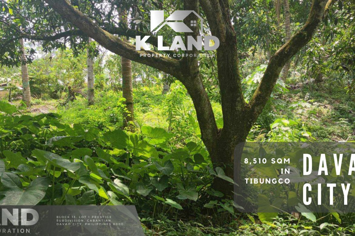 Land for Sale in Tibungco, Davao City, Davao del Sur