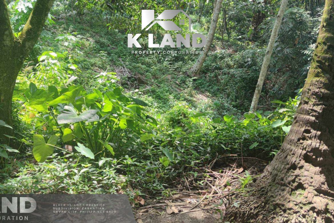 Land for Sale in Tibungco, Davao City, Davao del Sur – photo 3