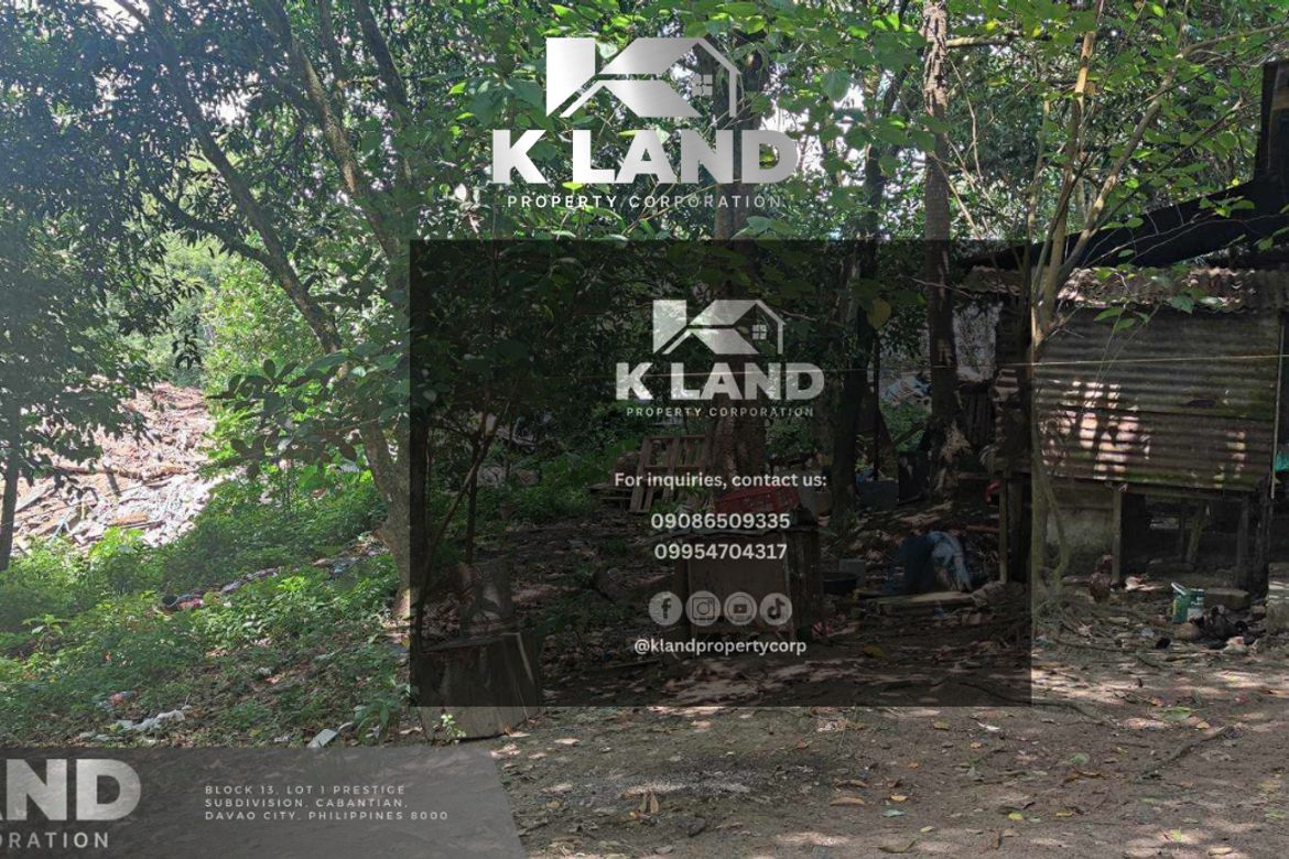 Land for Sale in Tibungco, Davao City, Davao del Sur – photo 4