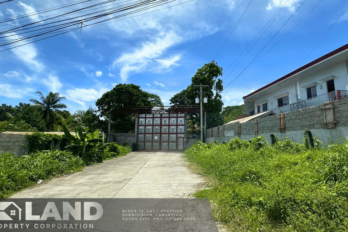Land for Sale in Tibungco, Davao City, Davao del Sur – photo 4