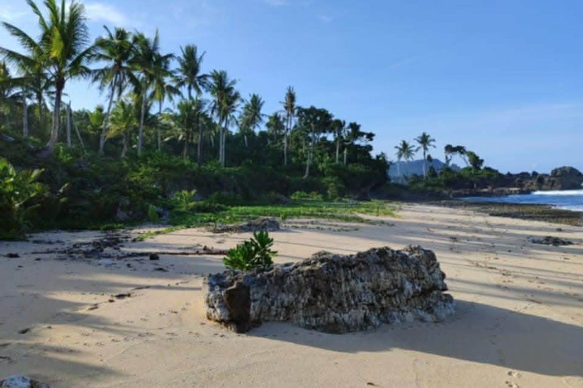 Land for Sale in Tigasao, San Isidro, Surigao del Norte