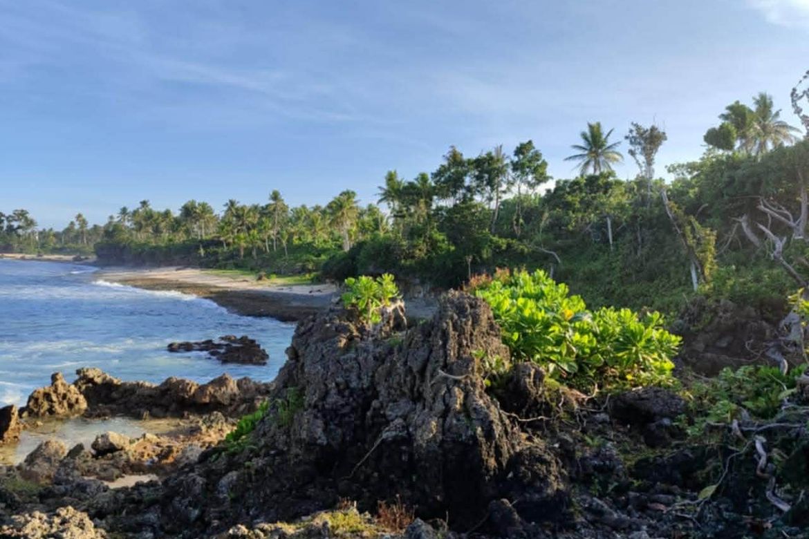Land for Sale in Tigasao, San Isidro, Surigao del Norte – photo 2