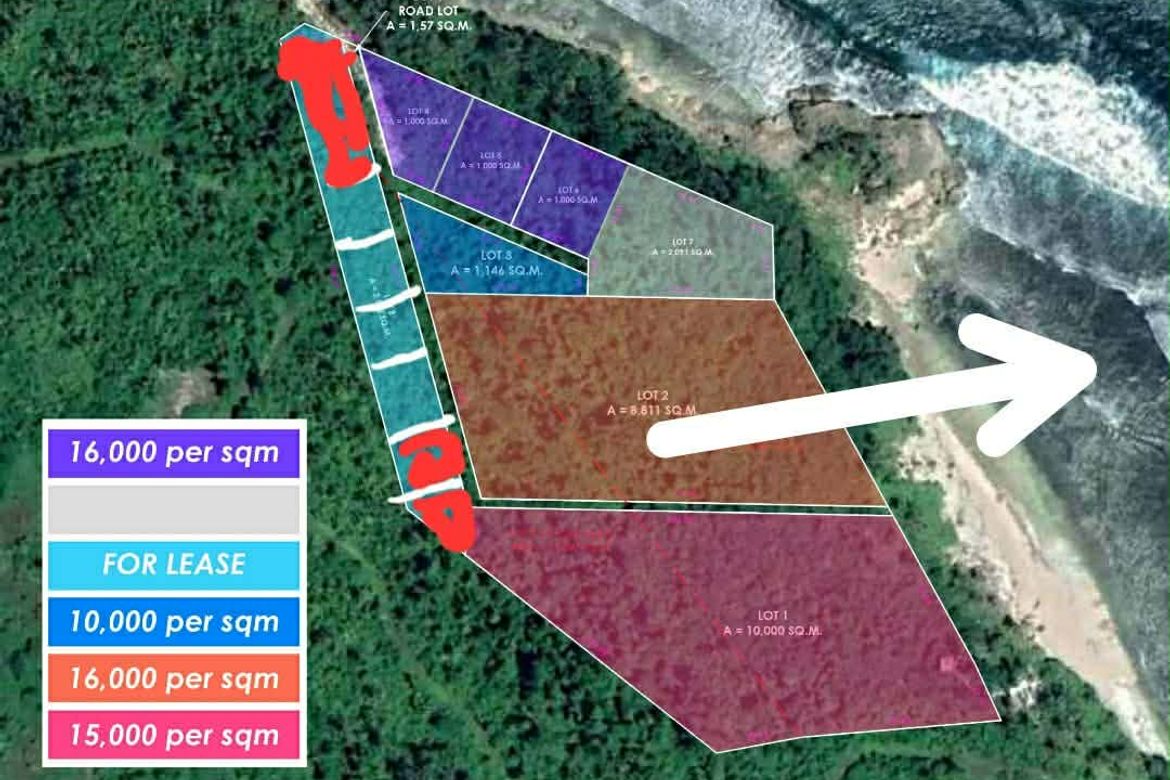 Land for Sale in Tigasao, San Isidro, Surigao del Norte – photo 4