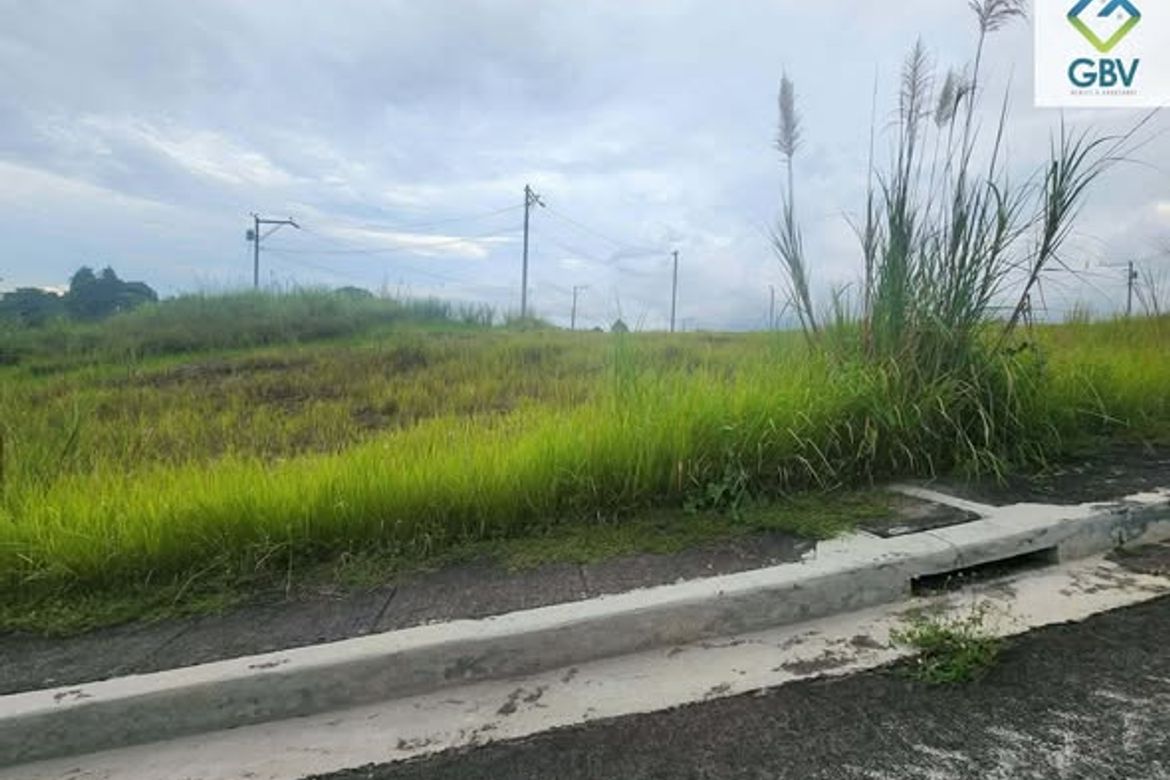 Land for Sale in Tigatto, Davao City, Davao del Sur – photo 3